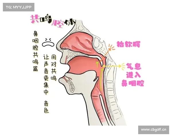 《解锁天籁之音:5大共鸣腔训练秘籍,让你唱歌秒变专业级!》 《解锁天籁之音:5大共鸣腔训练秘籍,让你唱歌秒变专业级!》